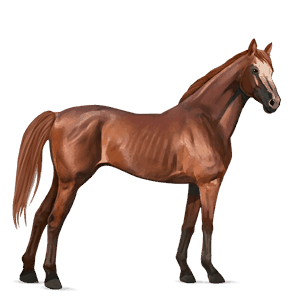caballo de montar cuarto de milla alazán crines lava