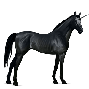 unicornio de montar pura sangre negro