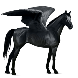 pegaso de montar negro