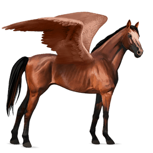 pegaso de montar peruano de paso bayo