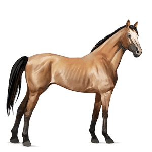 caballo de montar tennessee walker roano