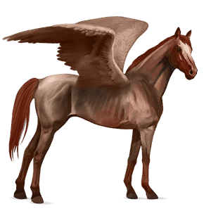 pegaso de montar pura sangre bayo