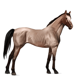 caballo de montar tennessee walker roano