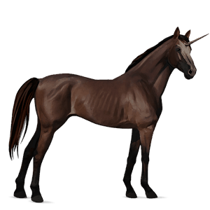 unicornio de montar kwpn alazán tostado