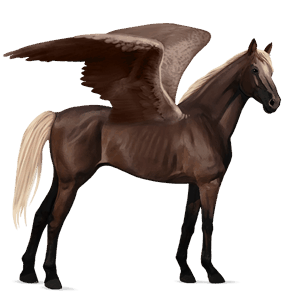 pegaso de montar kwpn alazán tostado crines lava