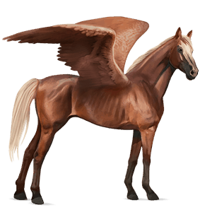 pegaso de montar cuarto de milla bayo tostado