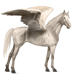 pegaso de montar pura raza española gris claro