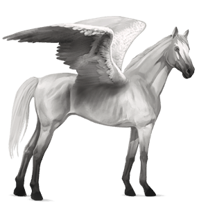 pegaso de montar lusitano bayo tostado