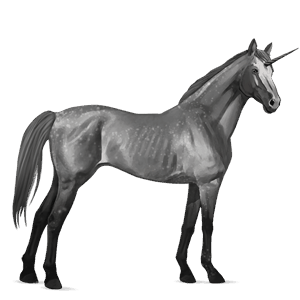 unicornio de montar pura sangre gris tordo