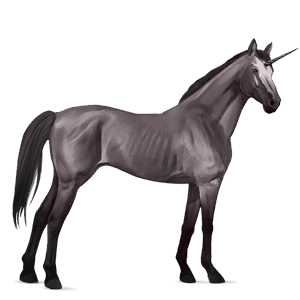 unicornio de montar pura sangre negro