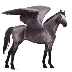 pegaso de montar silla francesa bayo