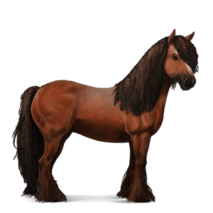 caballo de montar azteca bayo cereza