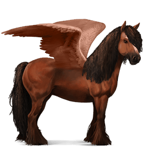 pegaso de montar gypsy vanner negro
