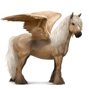 pegaso de montar gypsy vanner pío negro tobiano