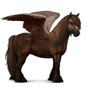 pegaso de montar gypsy vanner negro