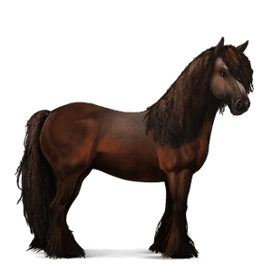 caballo de montar gypsy vanner pío negro tobiano
