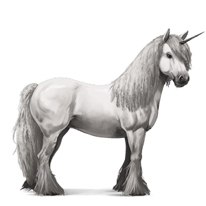 unicornio de montar gypsy vanner negro