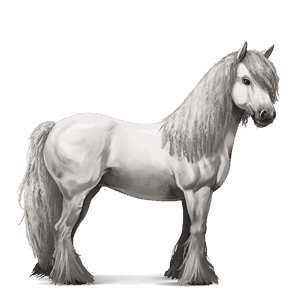 caballo de montar gypsy vanner gris ratón