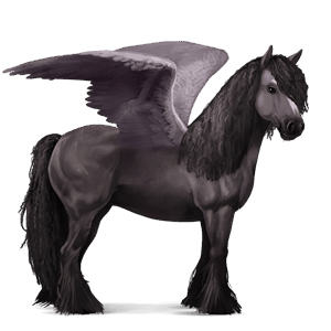 pegaso de montar gypsy vanner gris ratón