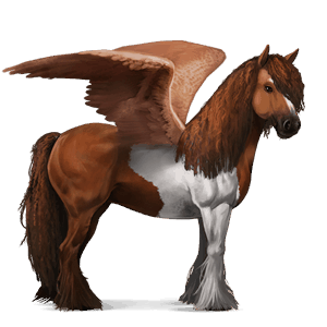 pegaso de montar gypsy vanner pío tobiano alazán