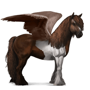 pegaso de montar pura raza española bayo cereza