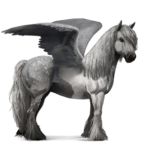 pegaso de montar peruano de paso gris tordo