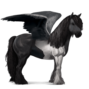 pegaso de montar hunter irlandés gris tordo