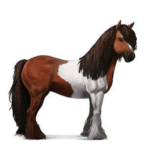caballo de montar lipizzan gris claro