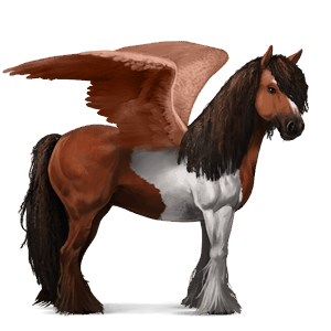 pegaso de montar knabstrupper snowflake negro
