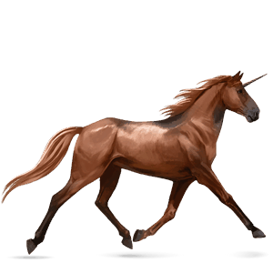 unicornio de montar kwpn bayo tostado