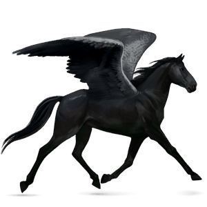 pegaso de montar pura raza española gris claro