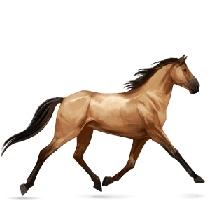 caballo de montar pura raza española bayo cereza