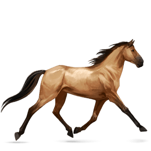 caballo de montar pura raza española gris claro