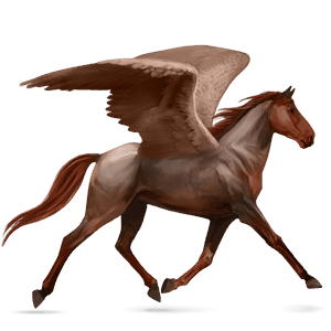 pegaso de montar akhal-teke bayo cereza