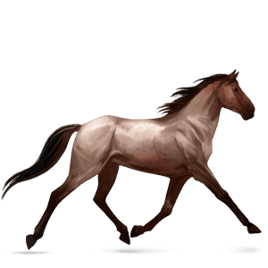 caballo de montar roano