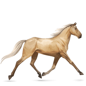 caballo de montar trotón francés bayo