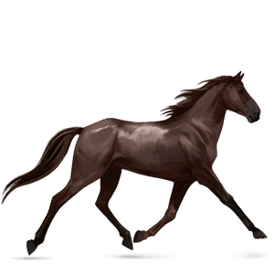 caballo de montar tennessee walker alazán tostado