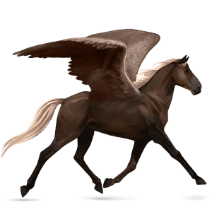pegaso de montar pura raza española gris tordo