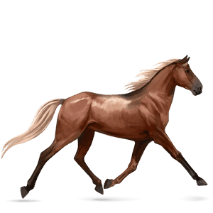 caballo de montar trotón francés alazán crines lava