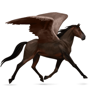 pegaso de montar negro
