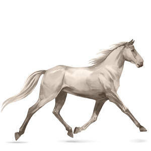 caballo de montar gypsy vanner pío tobiano alazán tostado
