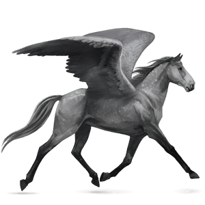 pegaso de montar cuarto de milla gris tordo