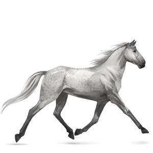 caballo de montar camargue gris claro