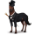 pegaso de montar doctor chiflado
