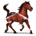 caballo de montar doctor chiflado