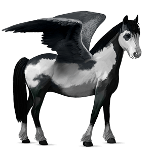 poni pegaso chilote bayo