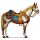 caballo de montar llanura