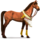 poni desierto