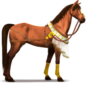 poni desierto