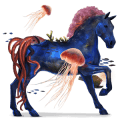 poni fjord brunblakk